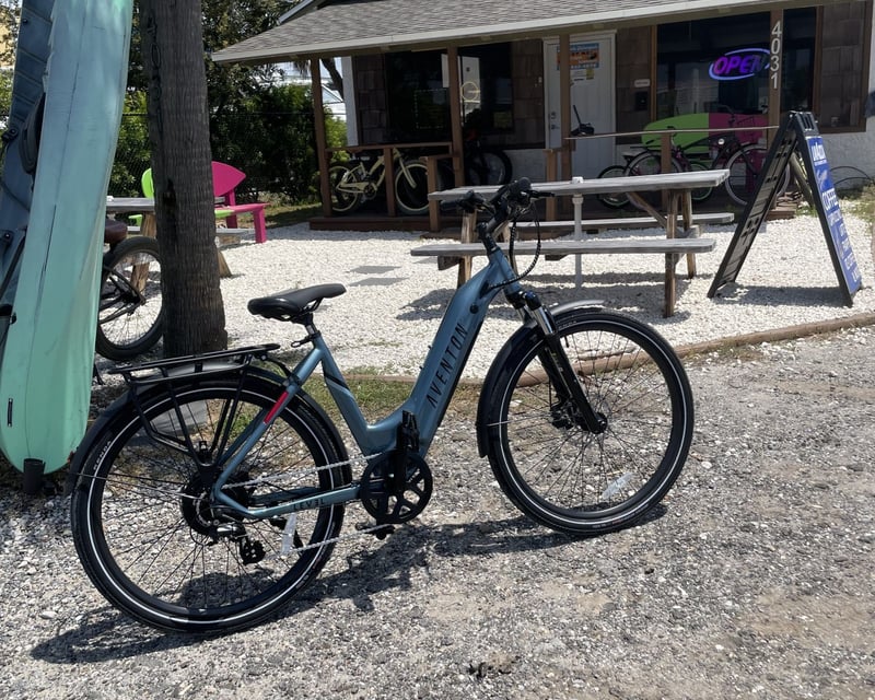 Daily & Multi-Day E-Bike Rental in Panama City Beach