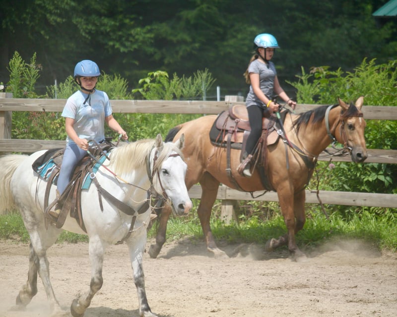 Semi-Private Horseback Riding Lesson in Princeton MA