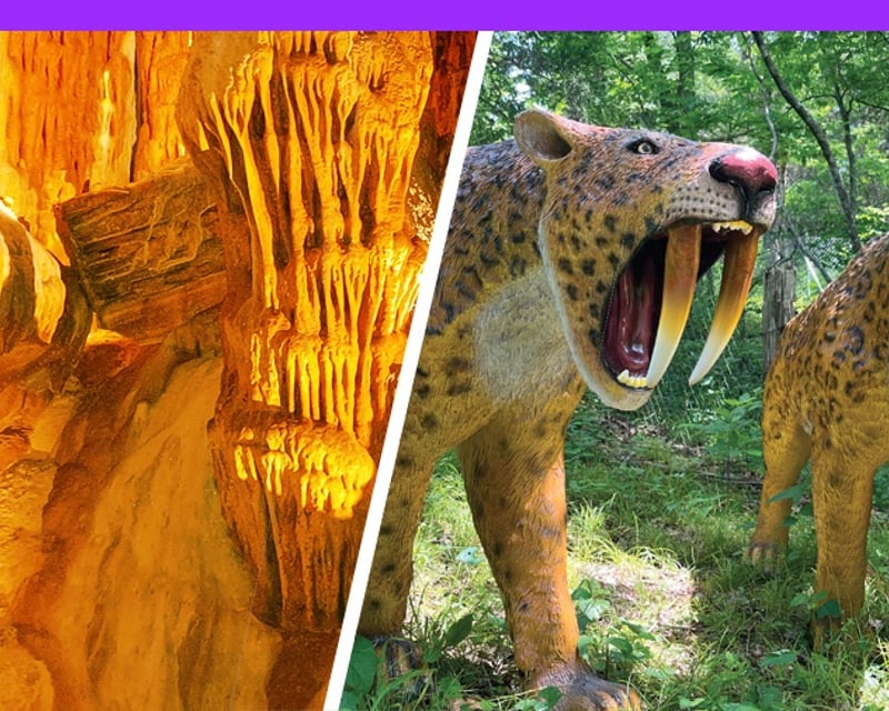 Crystal Cave Family Tour & Dino Trail in Springfield, MO