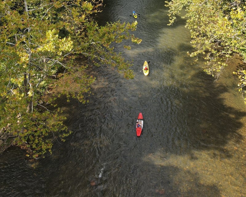 4-Mile Jackson River Kayak Trip near Covington