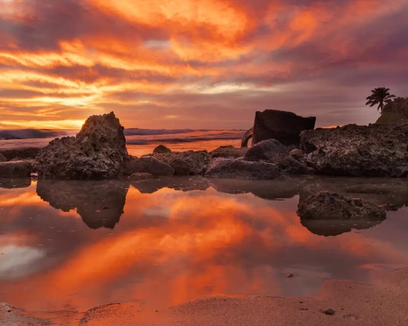 Oʻahu North Shore & East Coast Full-Day Tour