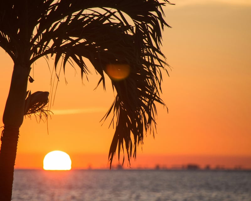2-Hour Sunset Cruise in Key West