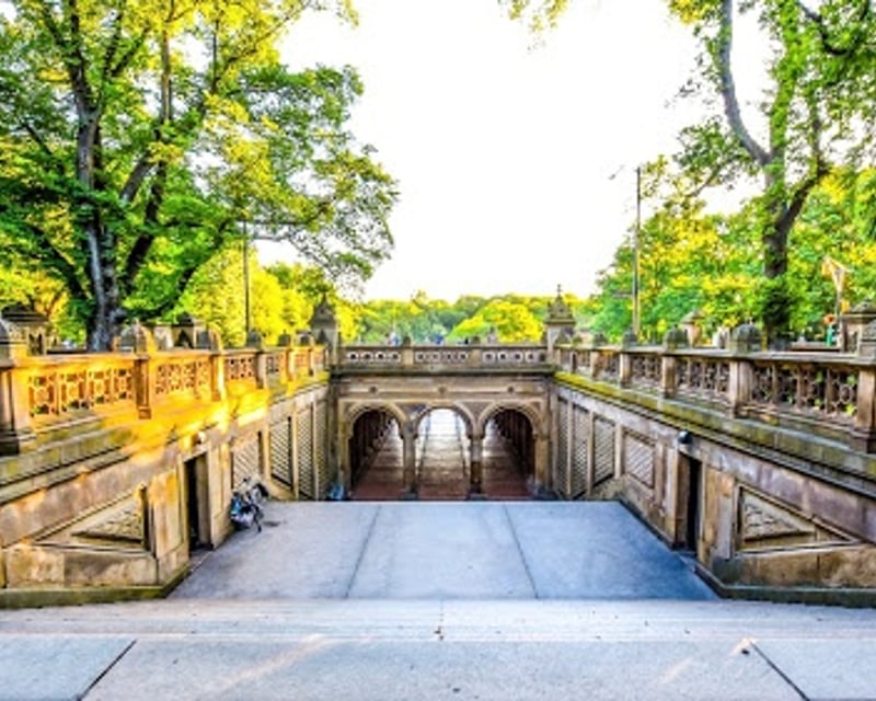 Explore Central Park on a 3-Hour Pedicab Tour