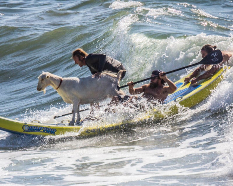 Surf Lesson & Tandem Surf Experience in Pismo Beach