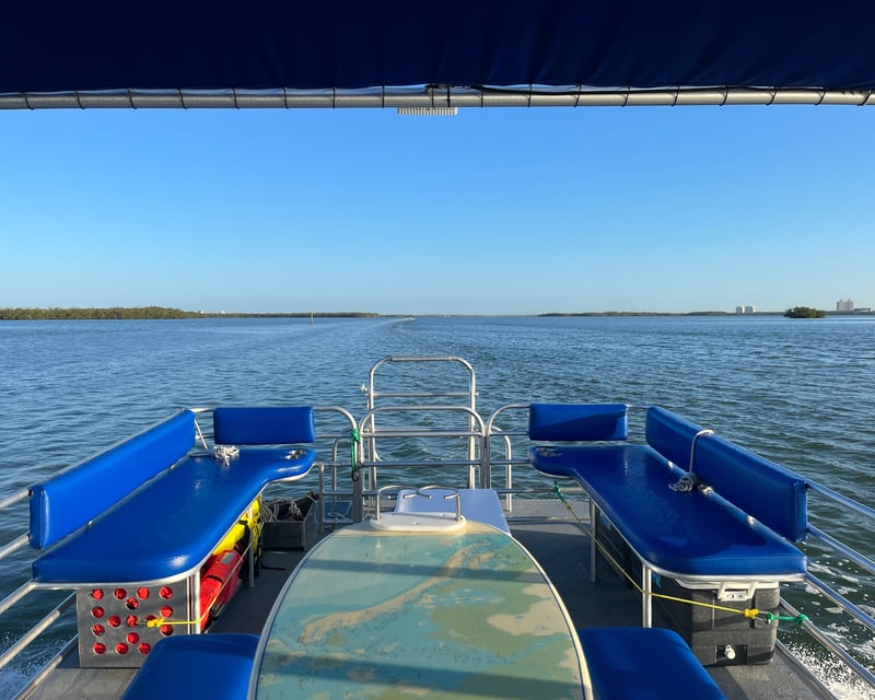 Fort Myers Beach Dolphin & Beach Charter