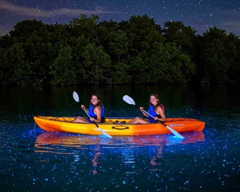 Vieques Bio Bay Kayak & Beach Day Trip from San Juan