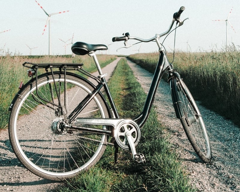 Beach Cruiser Bike Rental in Cambria