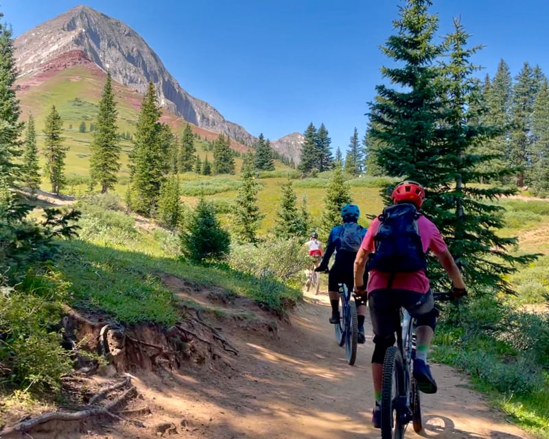 Engineer Mountain Alpine Mountain Bike Tour from Durango