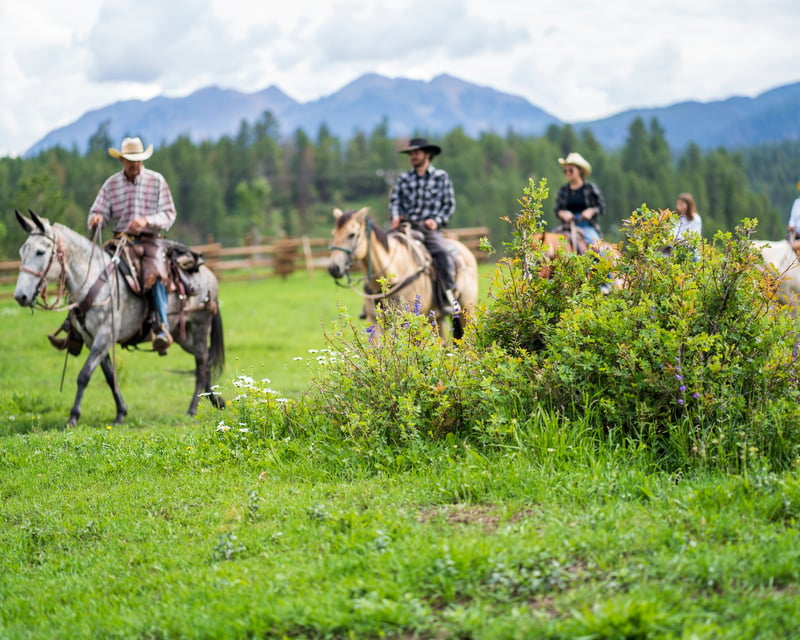Private 2-Hour Horseback Ride at Bears Ranch