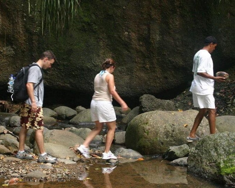 Guided Rainforest & Waterfall Hike in Dennery, St. Lucia
