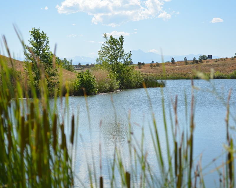 2-Hour Paddleboard & Kayak Rental at Barefoot Lake