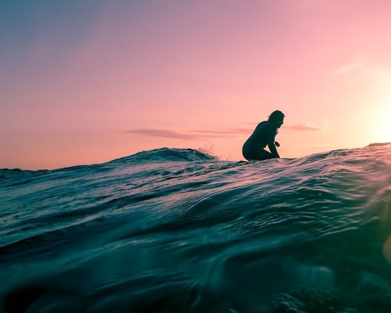 Santa Monica 1-Day Surfboard & Wetsuit Rental
