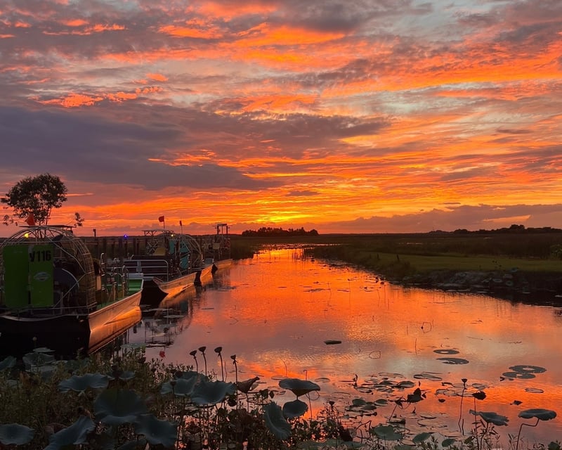 Sunset Airboat Tour with Master Captain in Kissimmee