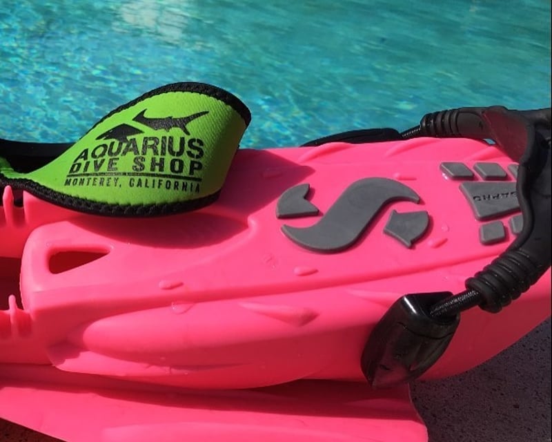 Snorkel Gear Rental in Monterey with Wetsuit & Fins