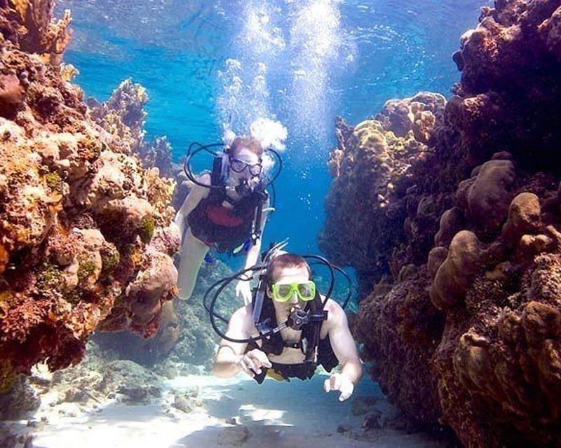 Private Beginner Scuba Diving Tour in Isabela