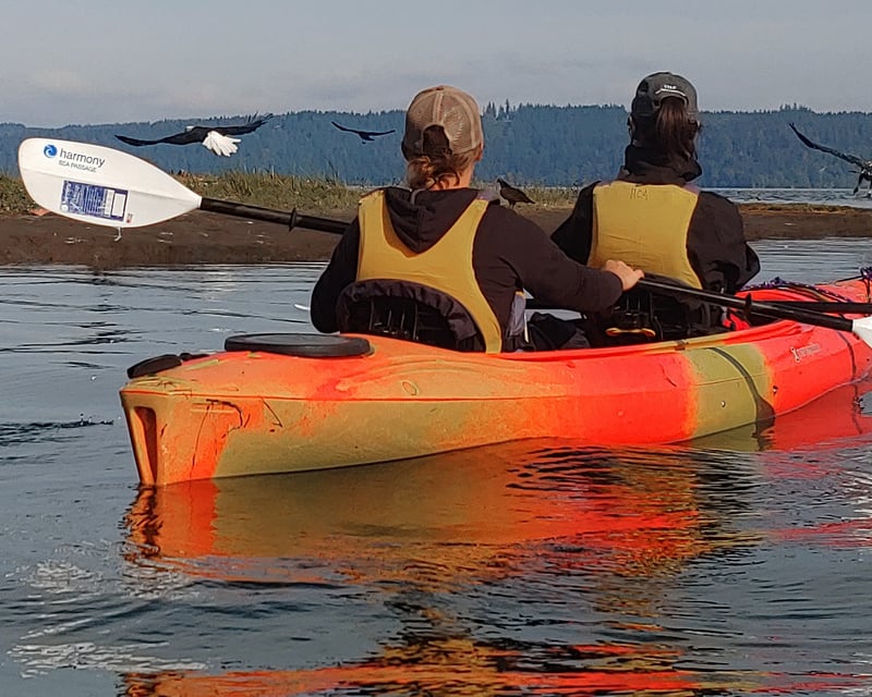Wildlife Kayak Tour of Dosewallips Estuary