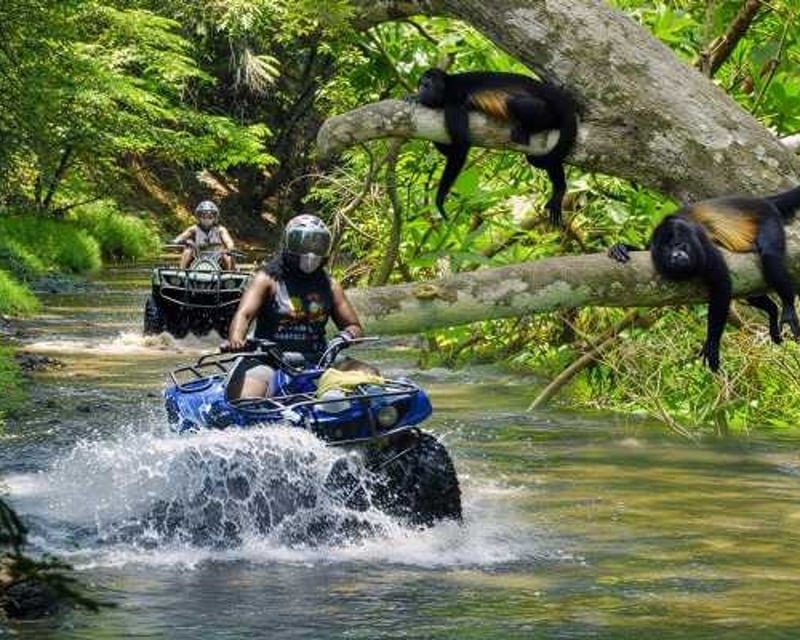 Guided Off-Road ATV & UTV Tour from Playa del Coco