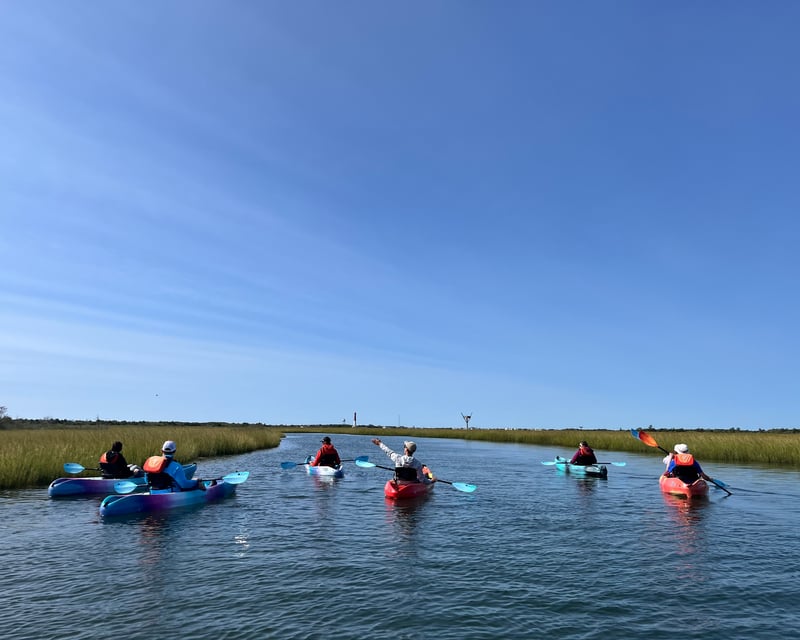 Sedge Island Guided Kayak Ecology Tour from Barnegat Light