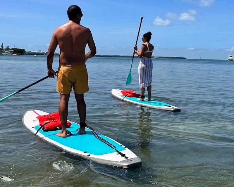 Private Miami Kayak & Paddleboard Tour to Mangrove Island