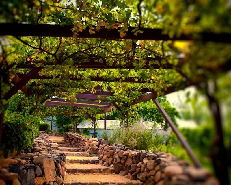 3-Vineyard Northern Arizona Wine Country Tour