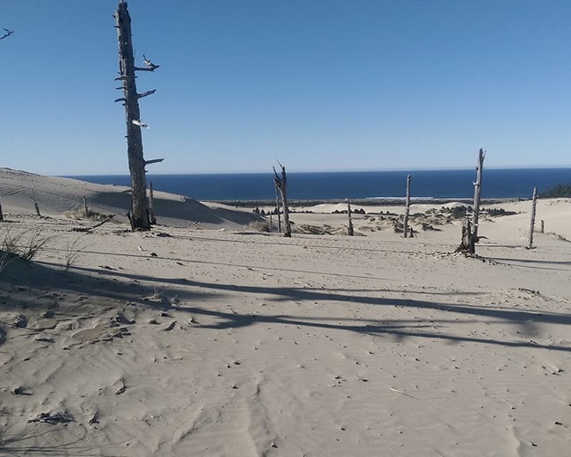 6-Hour ATV & UTV Rental in Winchester Bay