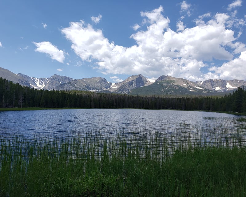 Guided Rocky Mountain National Park 3-4 Hour Hike