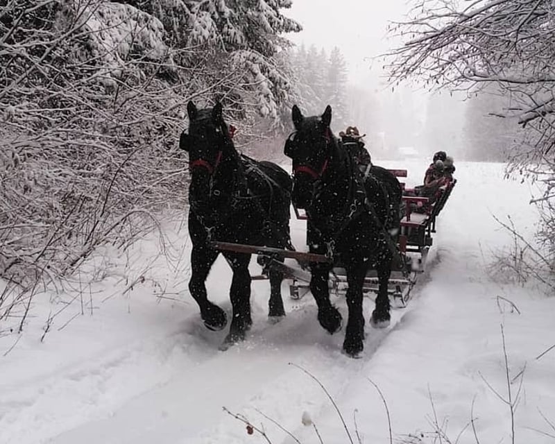 Horse-Drawn Sleigh Ride Through Ranch Meadows in Leavenworth