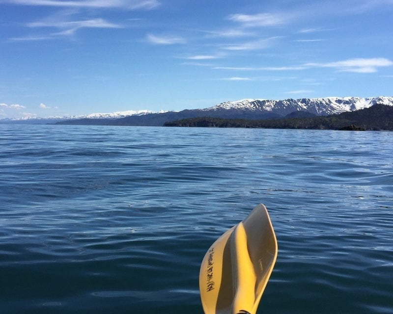 Kachemak Bay Guided Kayak Tour