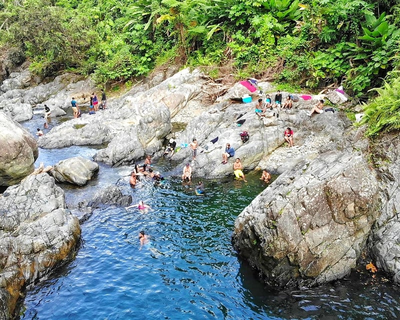 Guided El Yunque Rainforest & Bio Bay Tour
