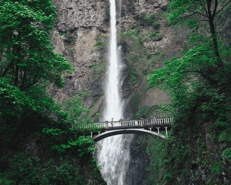 Columbia River Gorge Botanical Waterfalls Hike