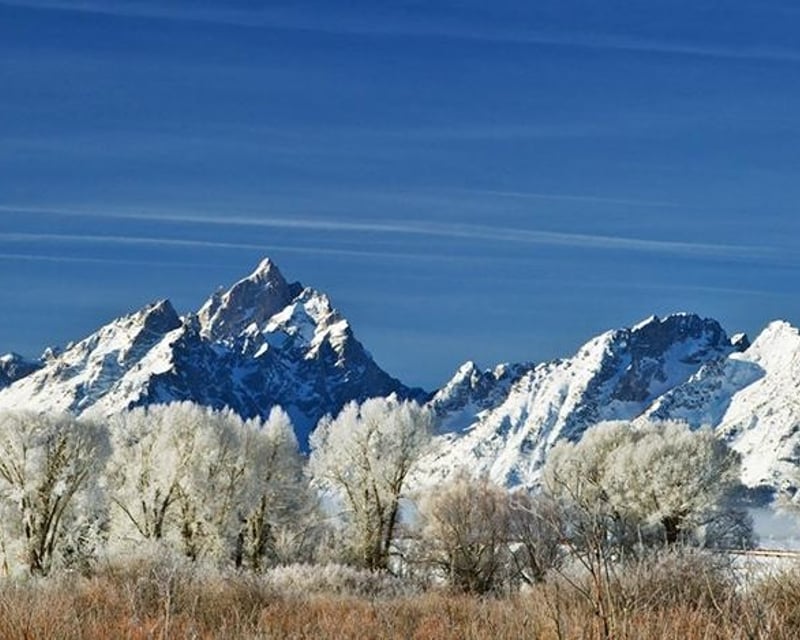 Jackson Hole Sunrise Wildlife Safari