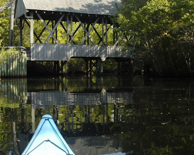 Guided Maritime Forest Kayak Tour in Kitty Hawk