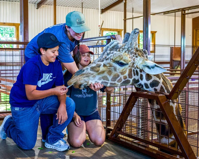 2.5-Hour Private Exotic Animal Care Tour in Pilot Point