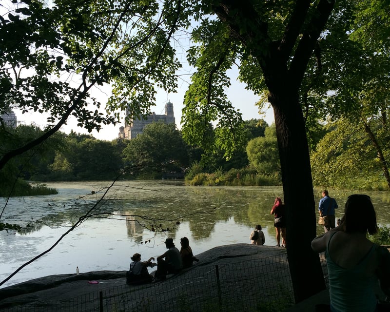 Central Park History & Geology Walking Tour in NYC
