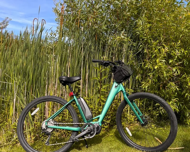 Small E-Bike Rental in Lake Leelanau
