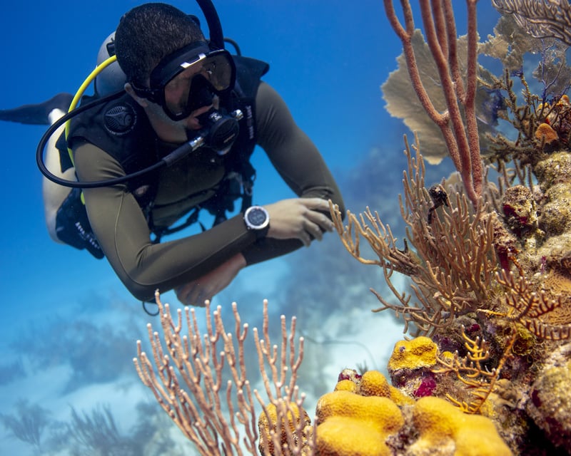 Advanced Open Water Diver Certification in St. Thomas