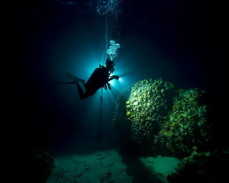 Night Shore Dive in Lahaina