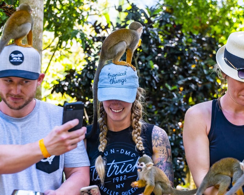Squirrel Monkey Tour at Monkeyland