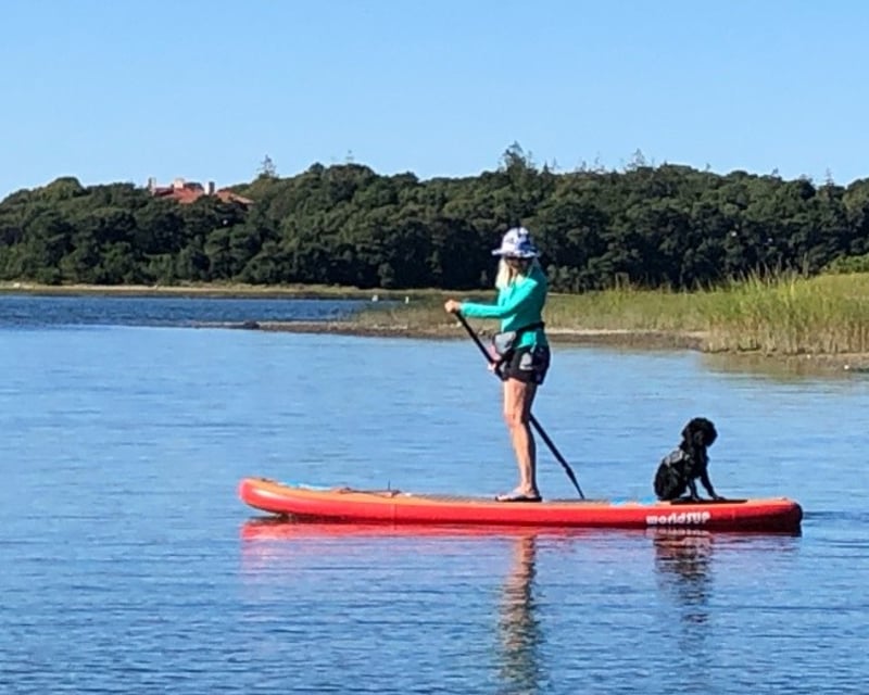Stand Up Paddle Board Rental on Buzzards Bay