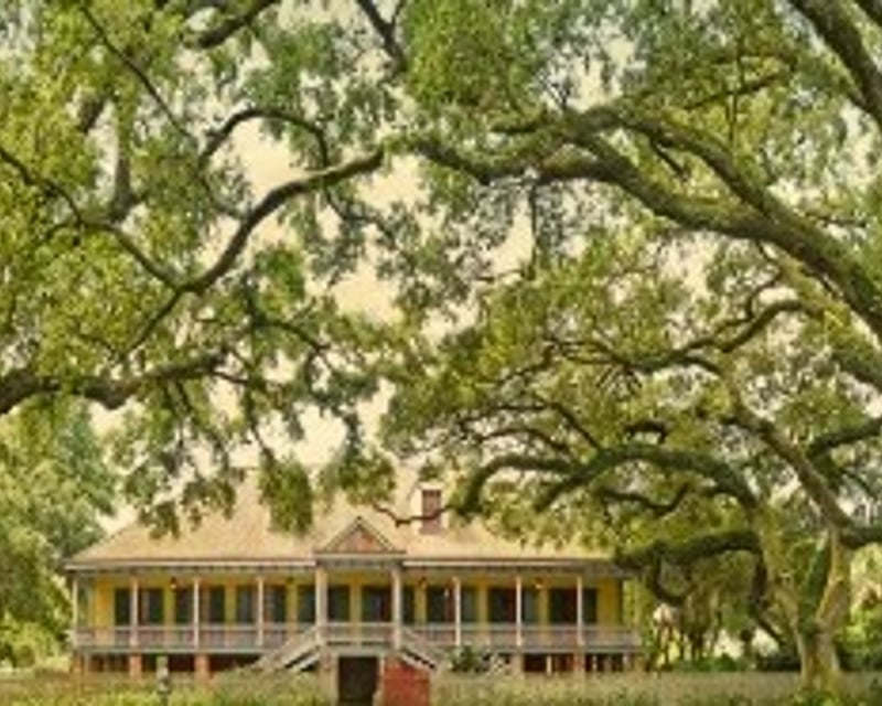 French Creole Laura Plantation Tour with Transport