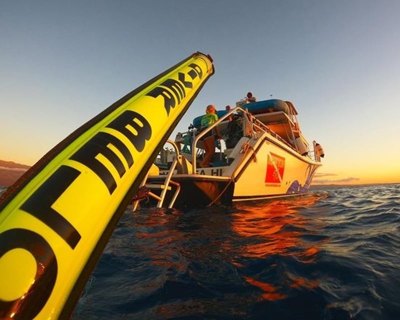 Afternoon 2-Tank Scuba Dive Charter in Maui