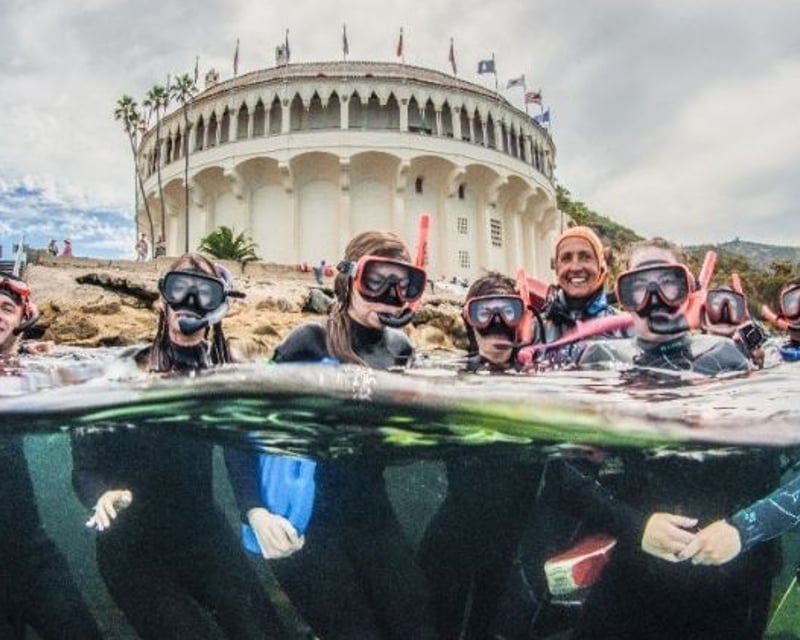 Guided Kelp Forest Snorkeling in Avalon, Catalina Island