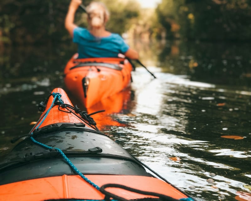 Shark Tooth Island Guided Kayak Tour