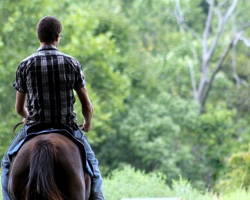 1-Hour Horseback Trail Ride in Fort Davis