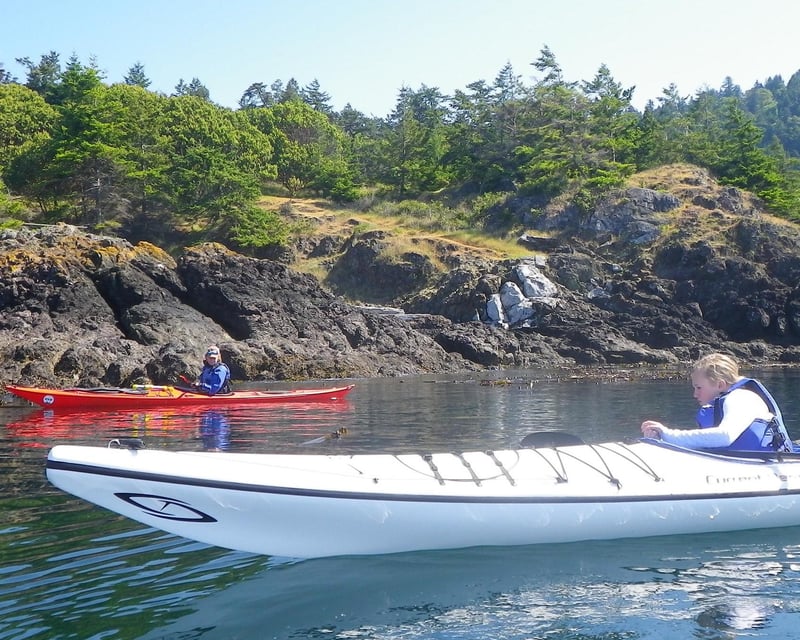 Half-Day Kayak Tour From Friday Harbor