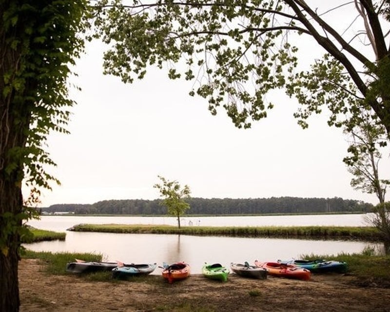 Kayak Tour & Wildlife Drive Bike Ride at Blackwater Refuge