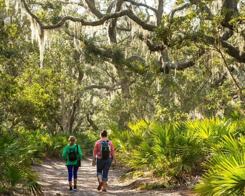 Guided Nature Hike on Talbot Island