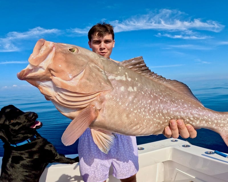 Private Full-Day Gulf Fishing Charter in Naples