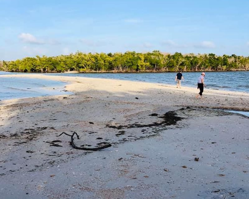 Native-Guided Eco Tour in Everglades National Park