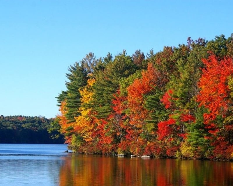 Private Fall Foliage Pontoon Cruise on Lake Lillinonah